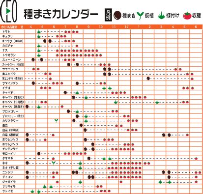 時種|種まきカレンダー｜種（タネ）,球根,苗,資材,ガーデニンググッズ 